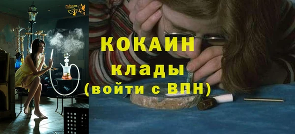 шишки Майский