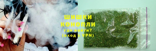 шишки Майский