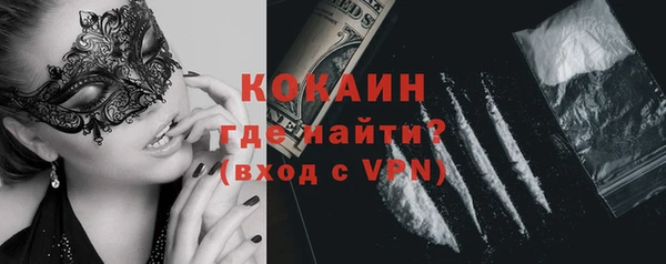 шишки Майский