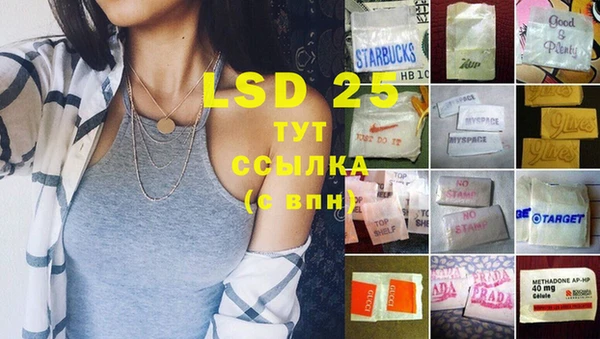 шишки Майский