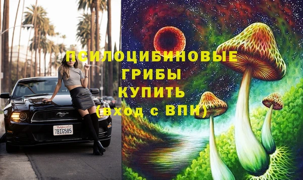 шишки Майский