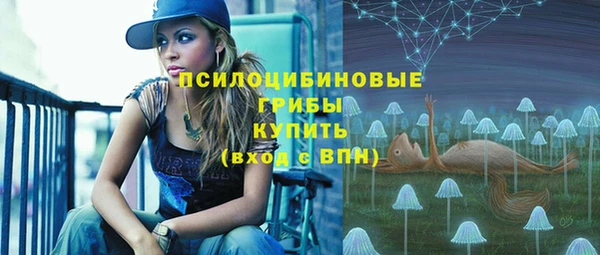 шишки Майский