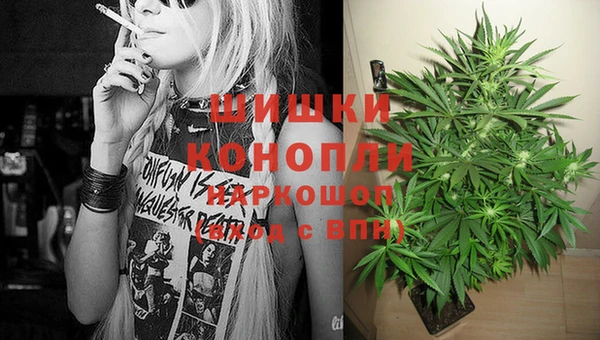 шишки Майский