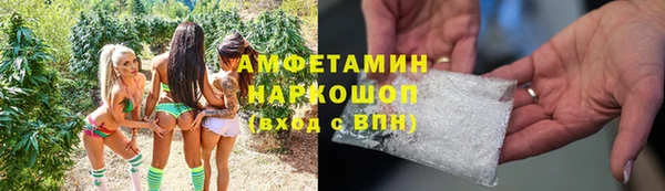 шишки Майский