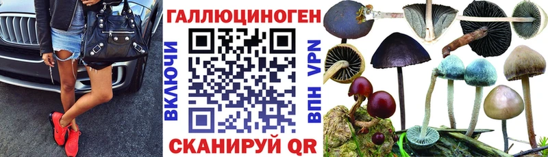 даркнет Telegram  гидра tor  Псилоцибиновые грибы мицелий  Петрозаводск  сколько стоит 